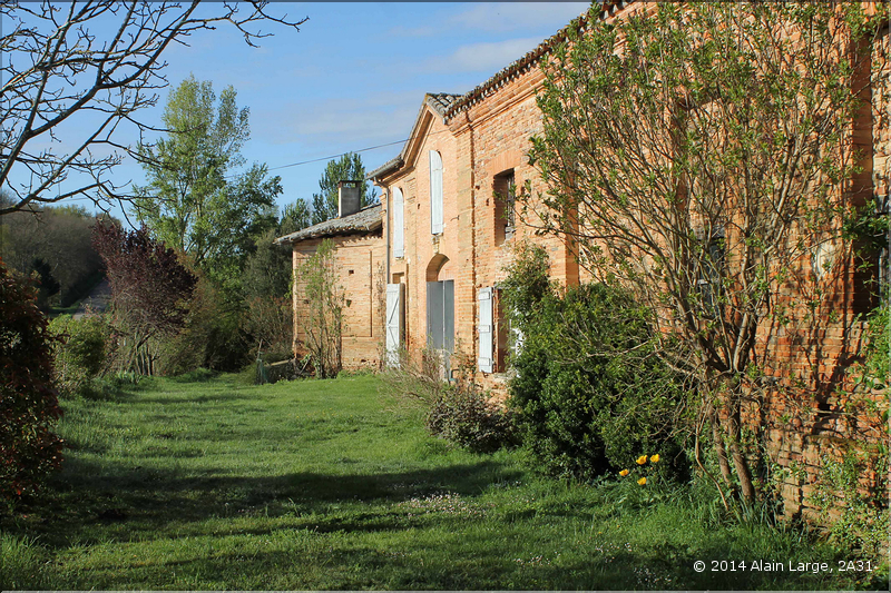 IMG_6049site