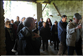 IMG_6053site