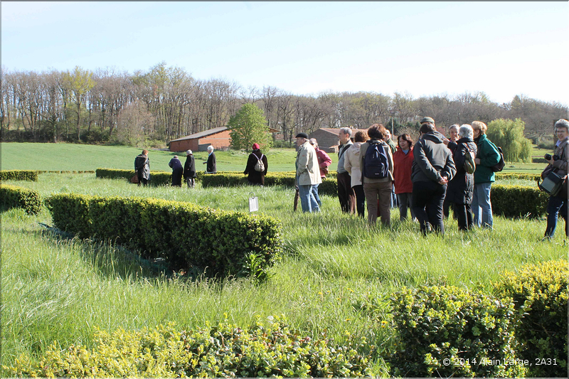 IMG_6063site