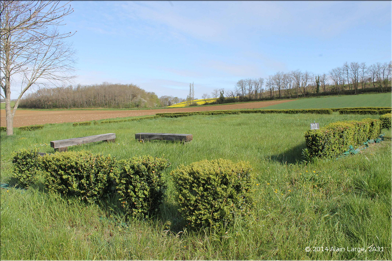 IMG_6064site