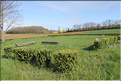 IMG_6064site