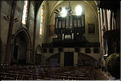 IMG_6127site