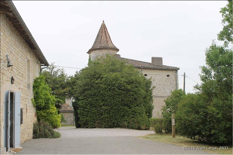 IMG_9811site