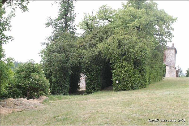 IMG_9817site