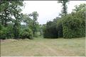 IMG_9820site