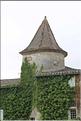IMG_9825site