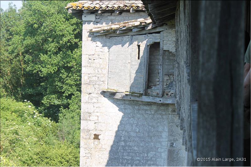 IMG_9919site