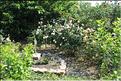IMG_1439